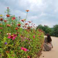 외나무 다리가 매력적인 영주 <무섬마을>
