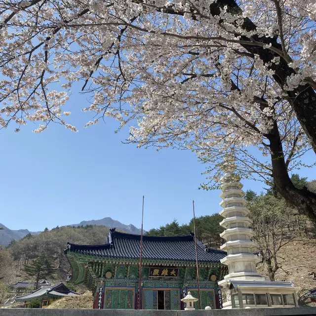 고성 화암사 사찰카페 란야원