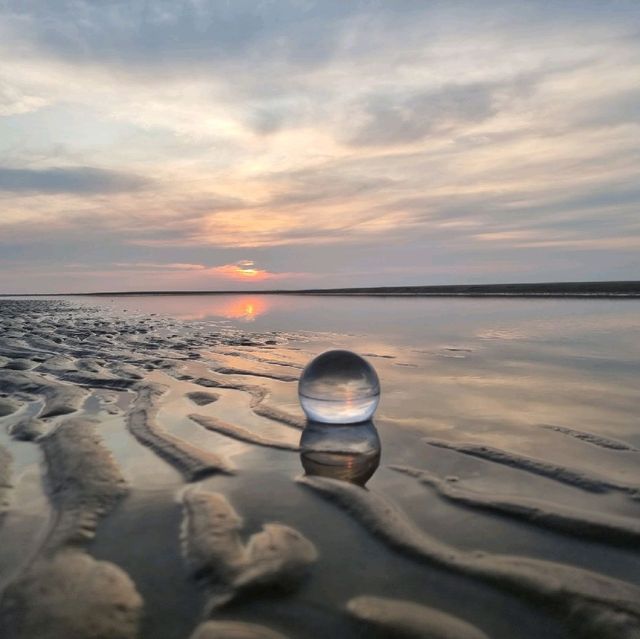 코타키나발루 스르방반딧불투어 