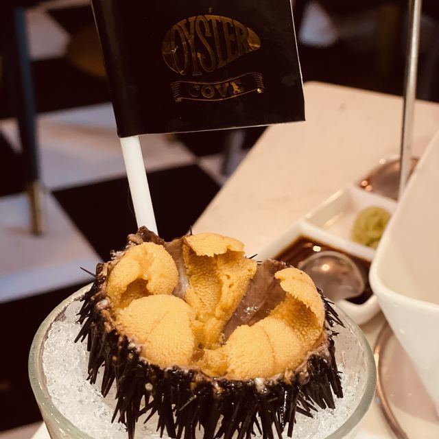 🦪🦪 @Oyster Cove 