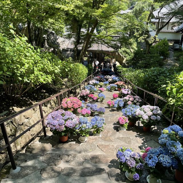 奈良県にある長谷寺に行ってきた！