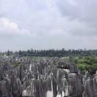 Great trip  on the rocks of Stone Forest