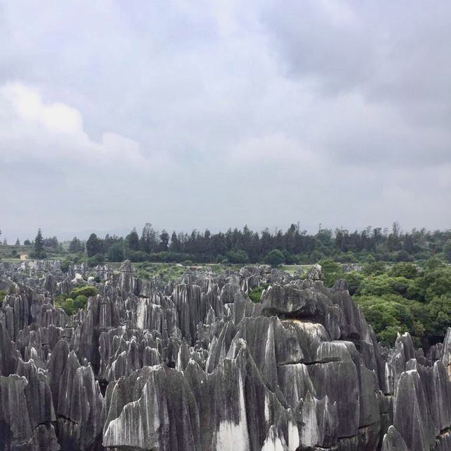 Great trip  on the rocks of Stone Forest