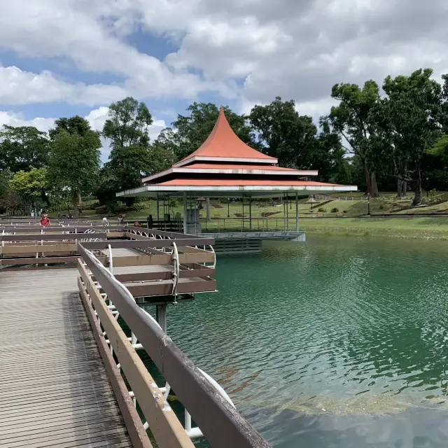 MacRitchie Reservoir & Treetop Hill Walk