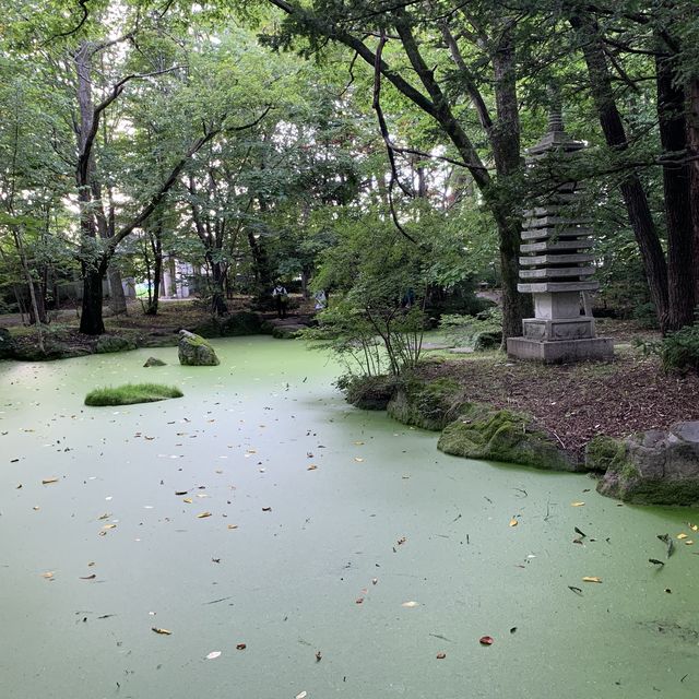 帯広神社夏詣　神秘的な緑の池と花手水🌺