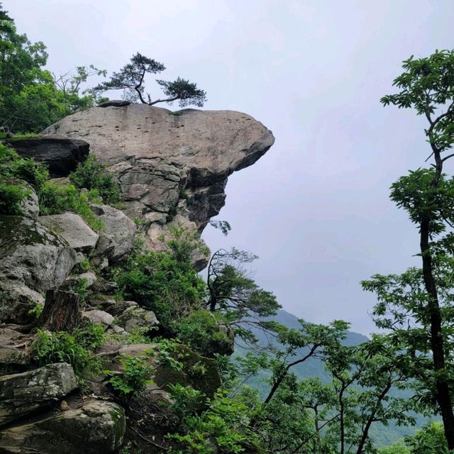 가평여행 축령산 등산