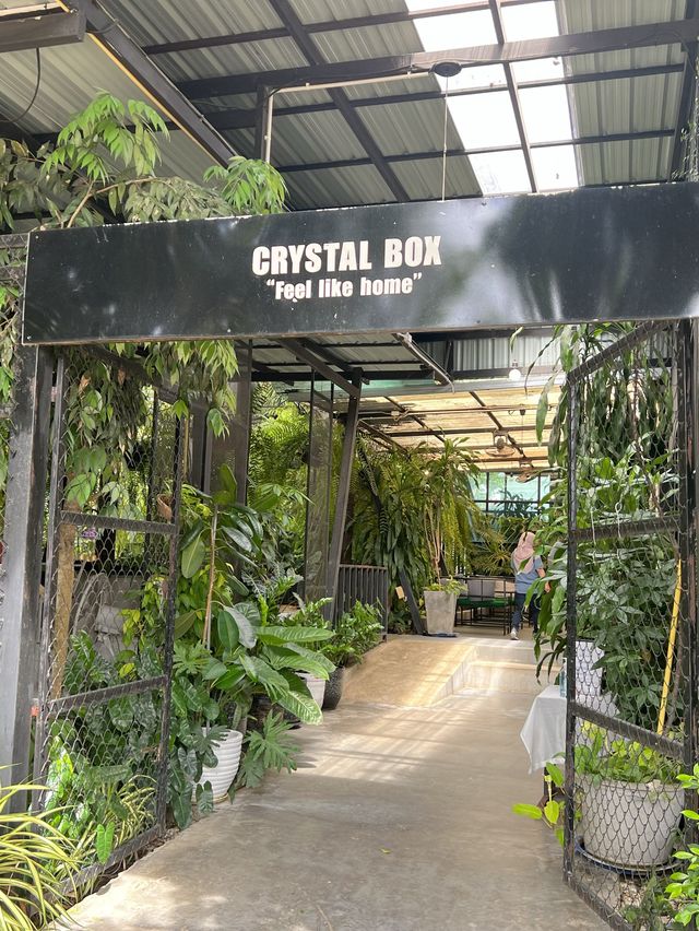 Crystal Box Coffee Cafe จังหวัดเลย 