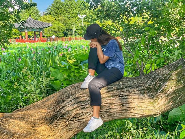 Deokjin Park Day View 