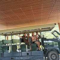 Africa in Cebu Safari and Adventure Park!