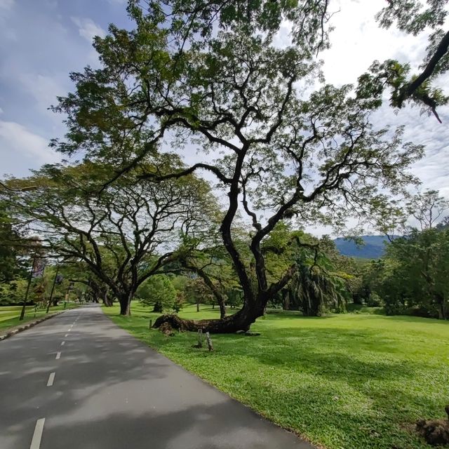 Taiping Lake Garden
