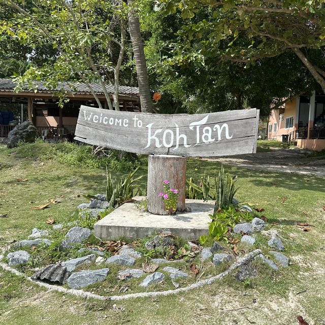 เกาะแตน ชมปะการัง