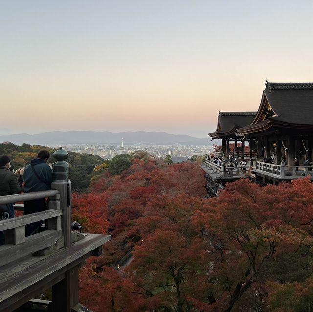 清水寺賞楓去｜早上六點就來了，好多人一起看日出🍁🌄