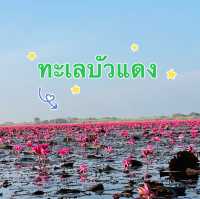 🌸🌅รุ่งอรุณที่ทะเลบัวแดง🌾🌿