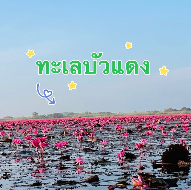 🌸🌅รุ่งอรุณที่ทะเลบัวแดง🌾🌿