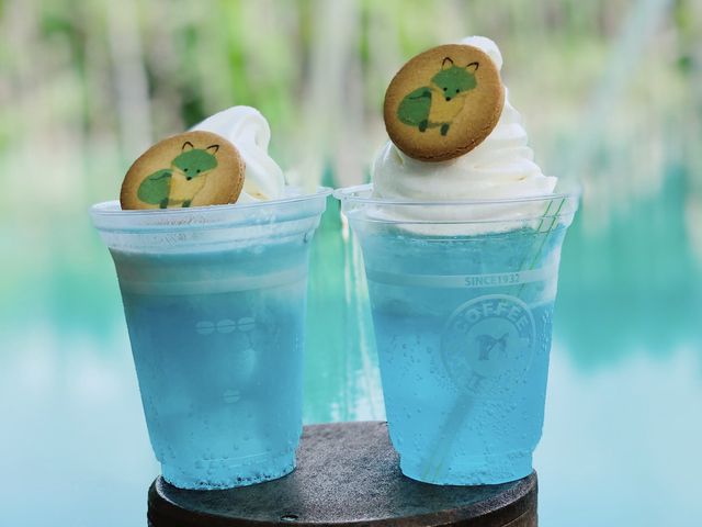 北海道美不勝收嘅青池💚💙