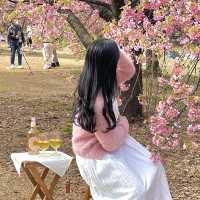 📌mimi picnic rental