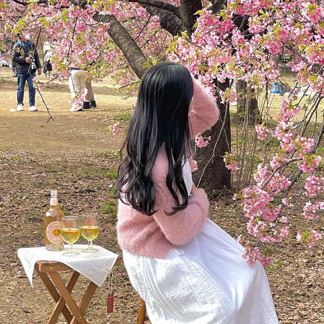 📌mimi picnic rental