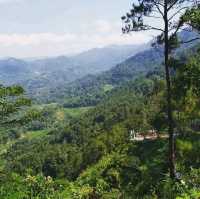 PANEMBONGAN HILL, WEST JAVA