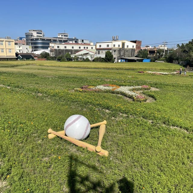 2021桃園花季在平鎮🌸🌼大家一起野球趣吧⚾️！