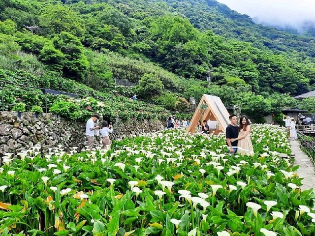 【台北】情侶景點-名陽圃休閒農莊