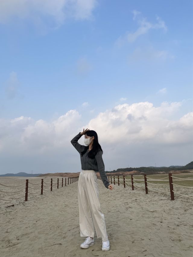 태안 인생샷 명소 :: 태안 신두리 해안사구🌵