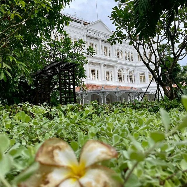 Raffles Shopping Arcade