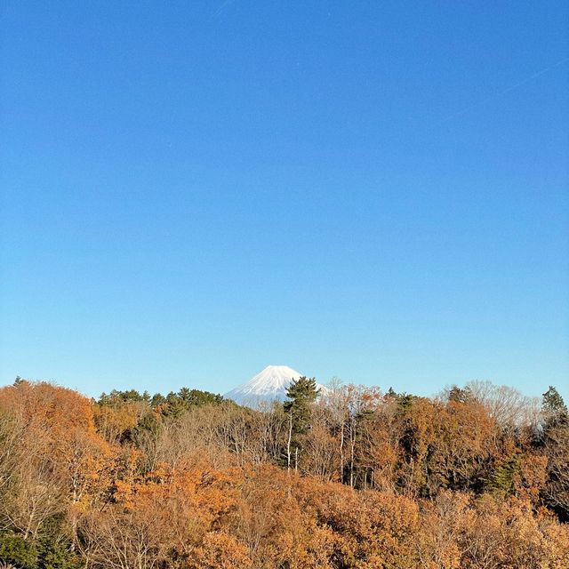 【修善寺】露天風呂付き客室からの眺めが最高。