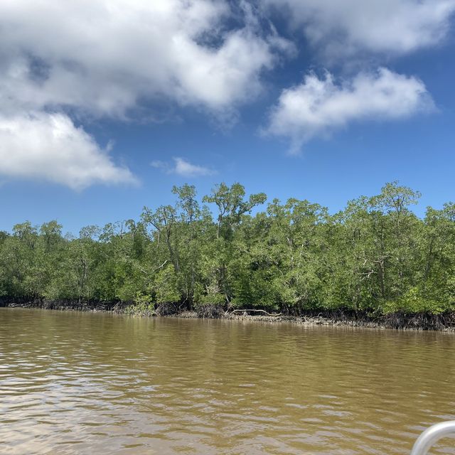 A Day in Kukup Island National Park