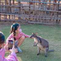 เที่ยวสวนสัตว์ Exotic Pets ที่ขอนแก่น