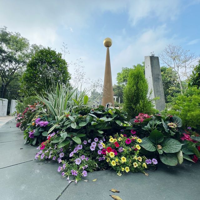 賞花攻略 大埔海濱公園