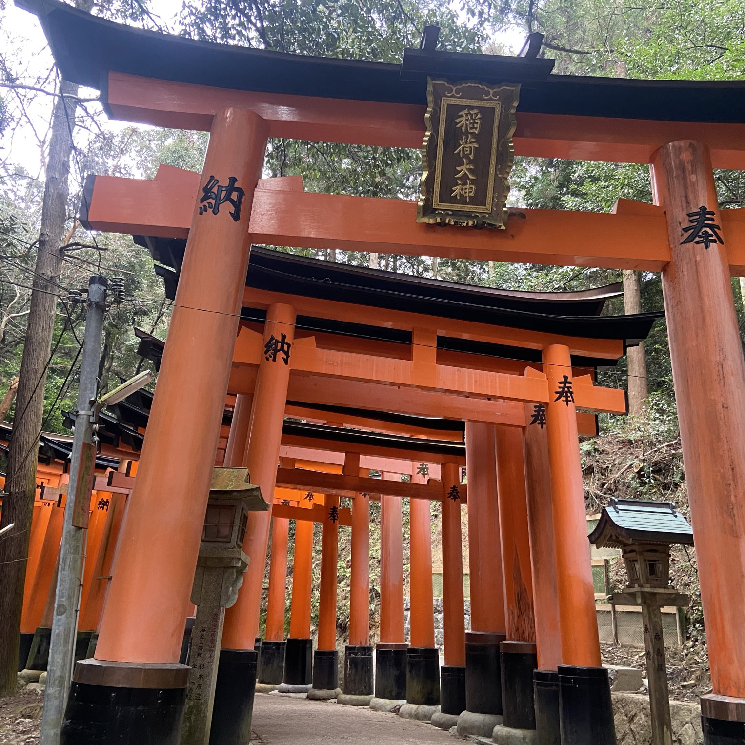 京都旅行の醍醐味 京都で人気観光スポットを巡ってきた Trip Com 京都の旅のブログ