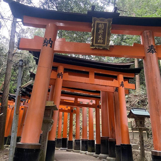 【京都旅行の醍醐味！】京都で人気観光スポットを巡ってきた