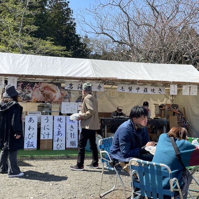 北海道　松前公園のさくらまつり