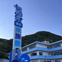 【高知】元小学校🏫むろと廃校水族館