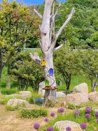 부산 봄나들이 가기 좋은 해운대 수목원 🌿