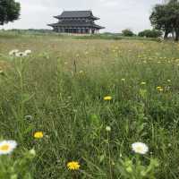 【平城京】1300年の時を超えて。
