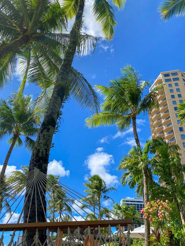 괌에서 수영장이 가장 예쁜 리조트, 두짓비치와 두짓타니🏝🏨