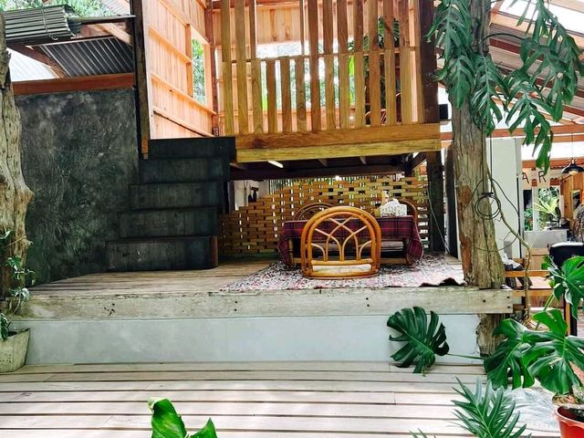 คาเฟ่ในป่ายาง
