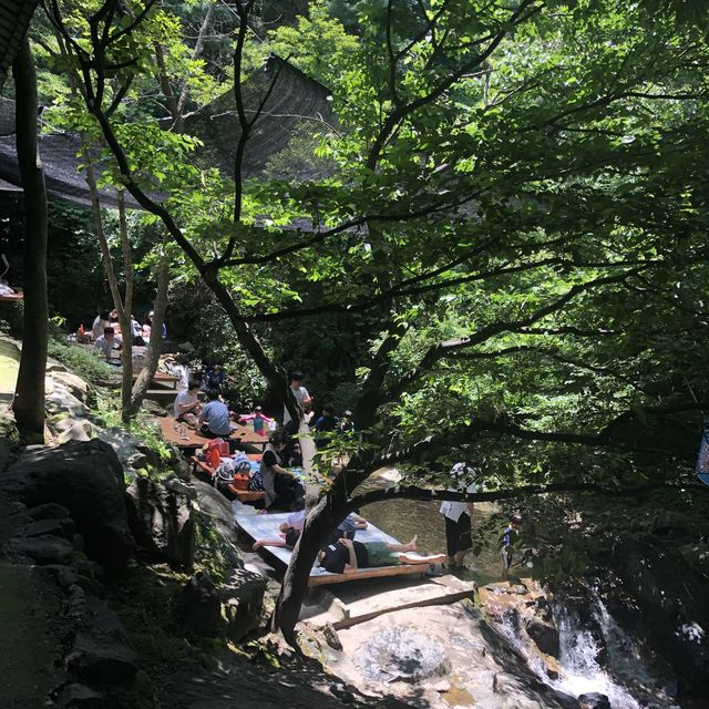 애견 동반 가능한 계곡 평상 백숙집 🐶