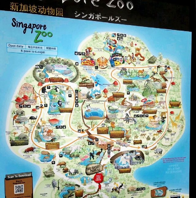 The Wildlife Lovers - Singapore Zoo
