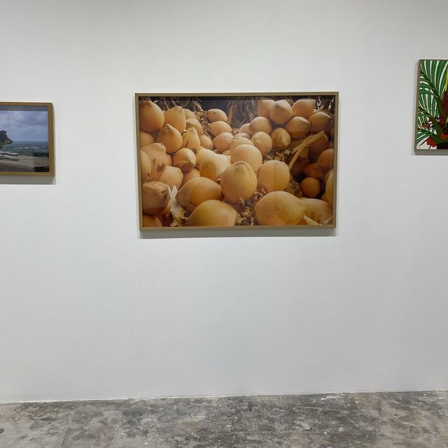 土沉香樹展覽 🌳 