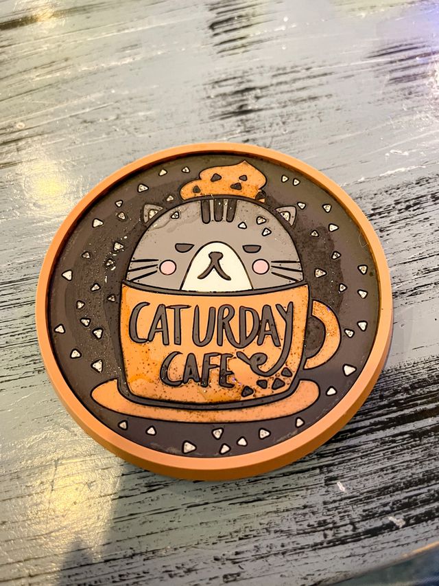 คาเฟ่แมว ย่านราชเทวี😸