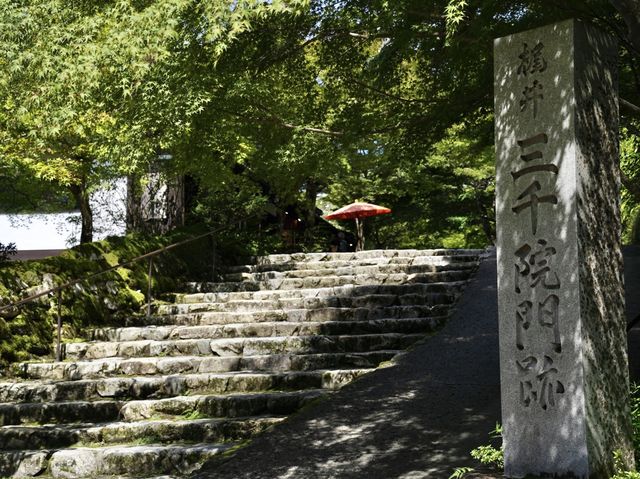 【京都】三千院　苔の庭園がとても美しい