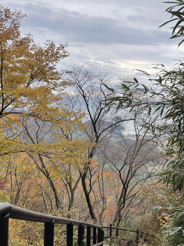 [경남/남해]남해의 핫플 보리암까지 단풍구경겸 등산하기🍁