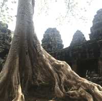 Traveling back in time at Angkor Wat