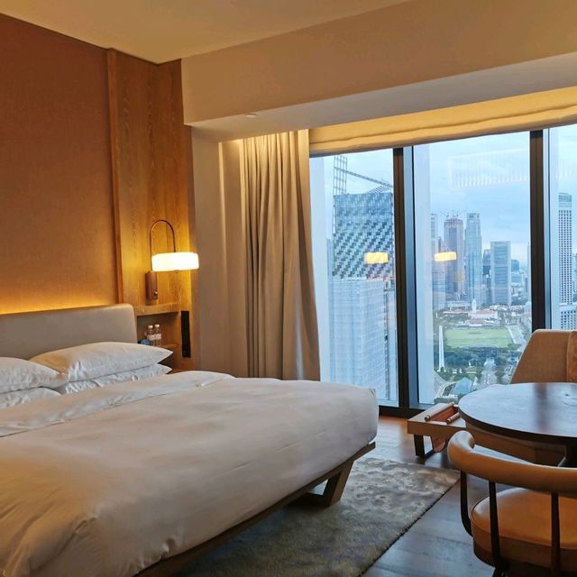 Luxurious Staycay in town with city view 