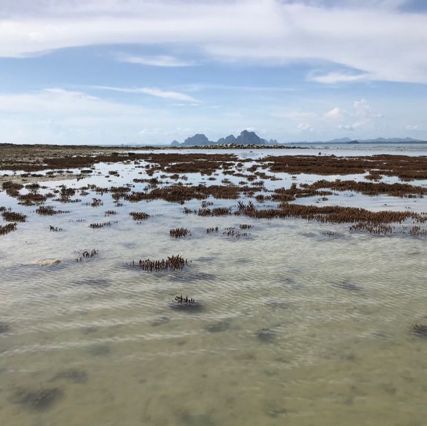 เกาะมุก ตรัง