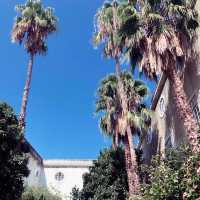 Lisbon- city of flowers and trees