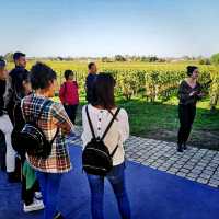 Saint Emilion Winery Tour Visit