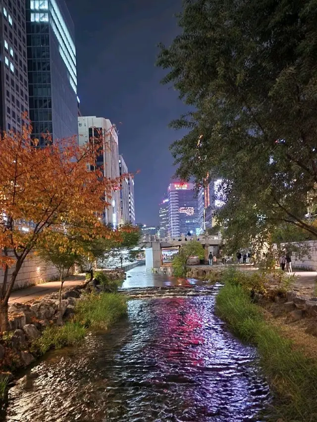 Night at Cheonggyecheon